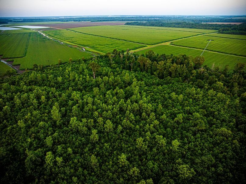 Copy of Noxubee 70 +- Tract 3-16