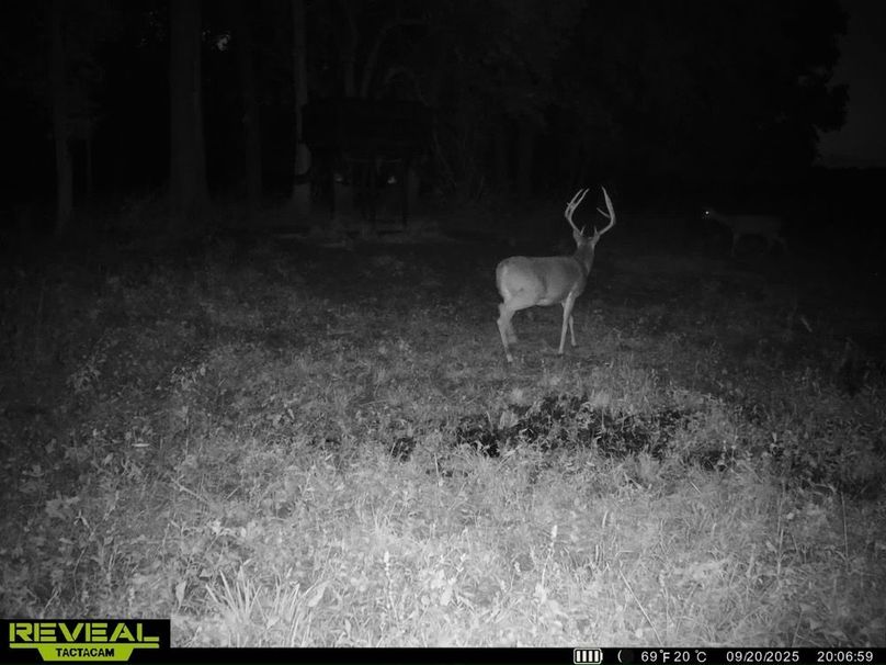 860322065946383-100-3-09212025032511-HD-SYEW4711