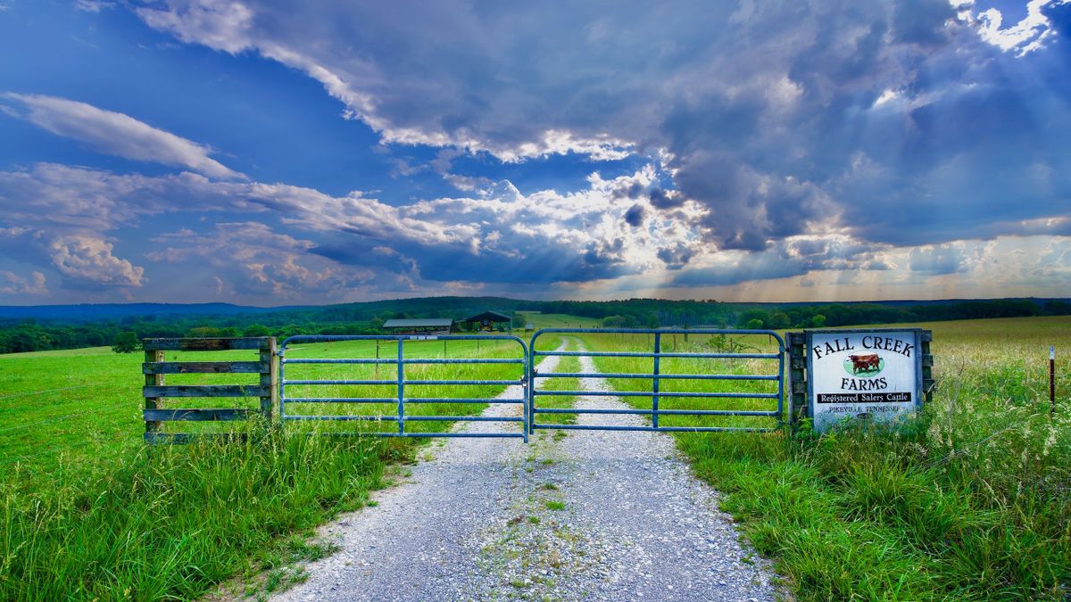 Beautiful Fenced Cattle Farm With Creek, Barns, And Ponds In South ...