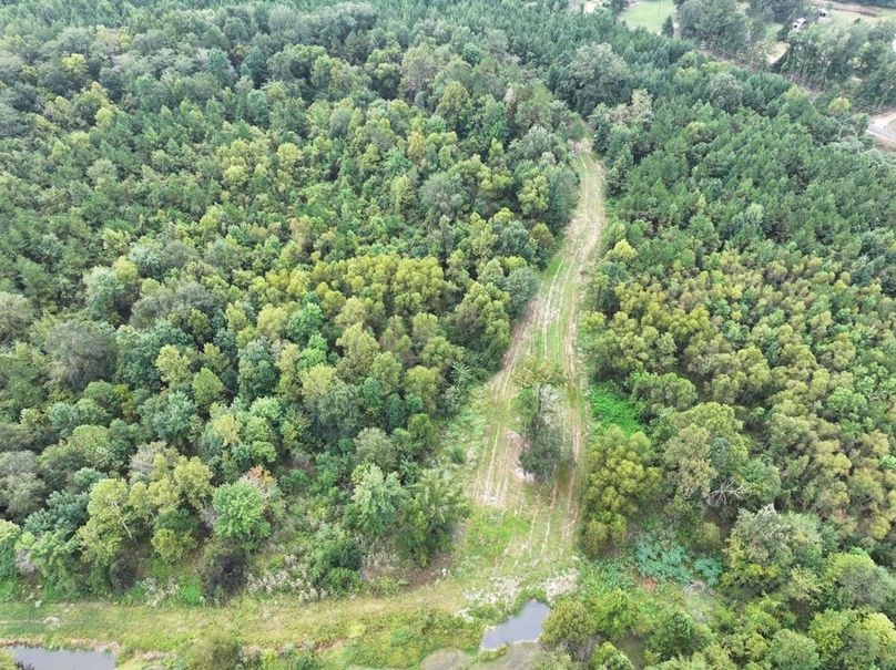 dji_fly_20250924_092434_0515_1758726292787_photo