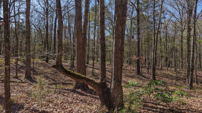 DJI_20260311012426_0044_D