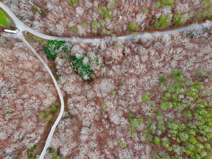 Roane Co TN 396 20251127_12