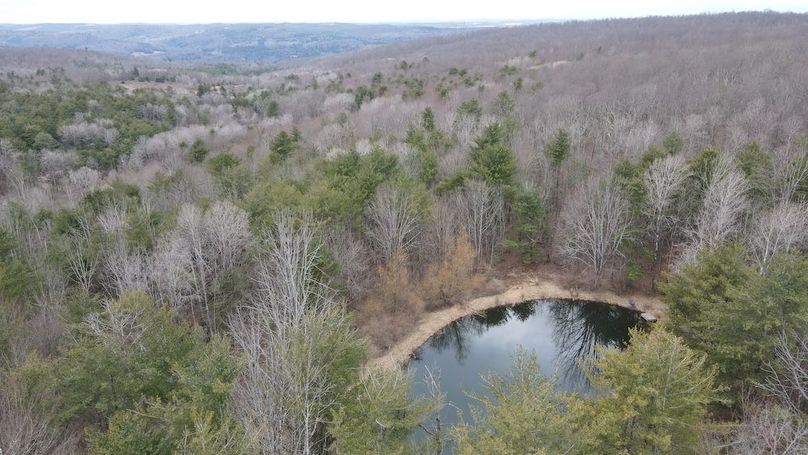 17 dji_fly_20250325_113024_947_1742916657126_photo