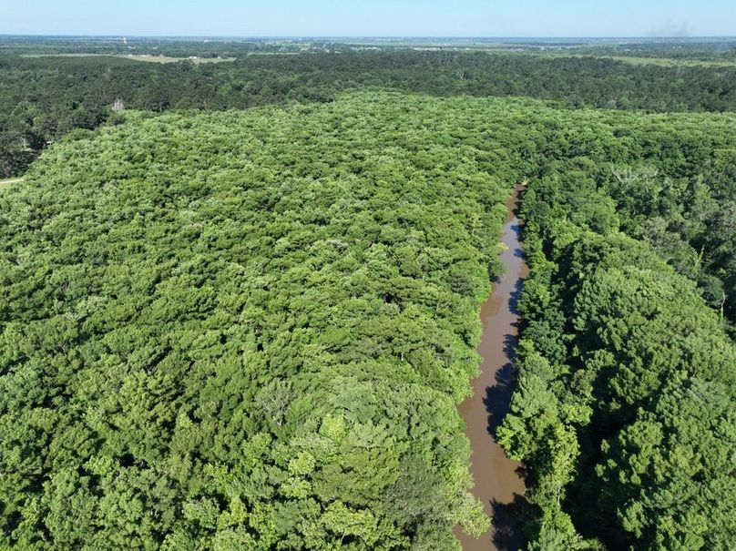 dji_fly_20260513_101916_432_1778687600902_photo