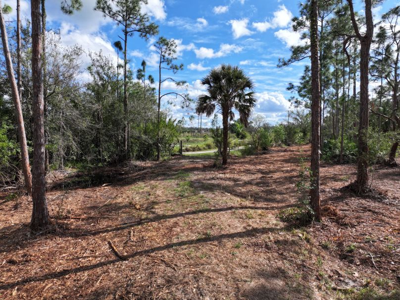 dji_fly_20231118_142406_0305_1700354020241_photo