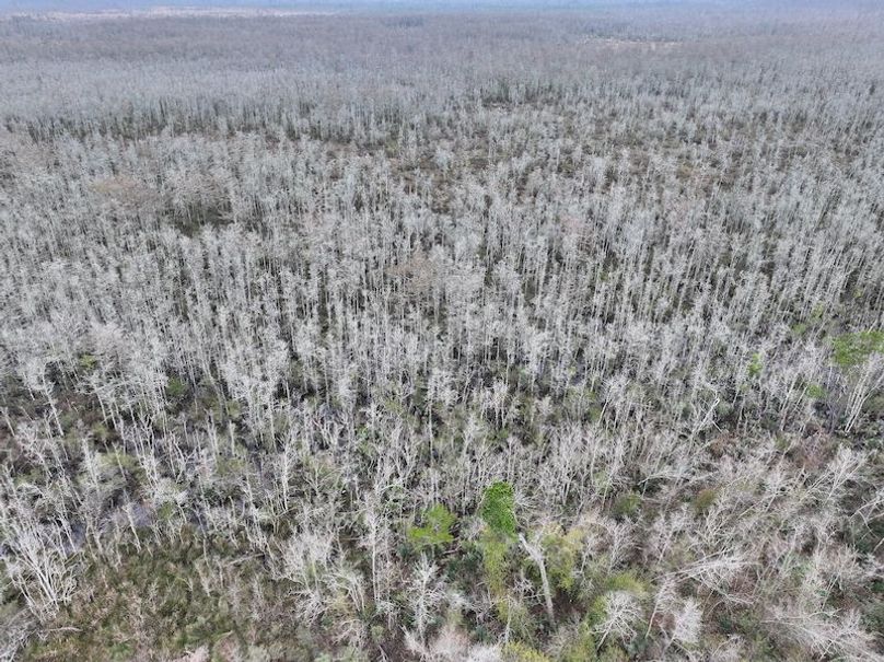 dji_fly_20260123_132420_0945_1769444771879_photo