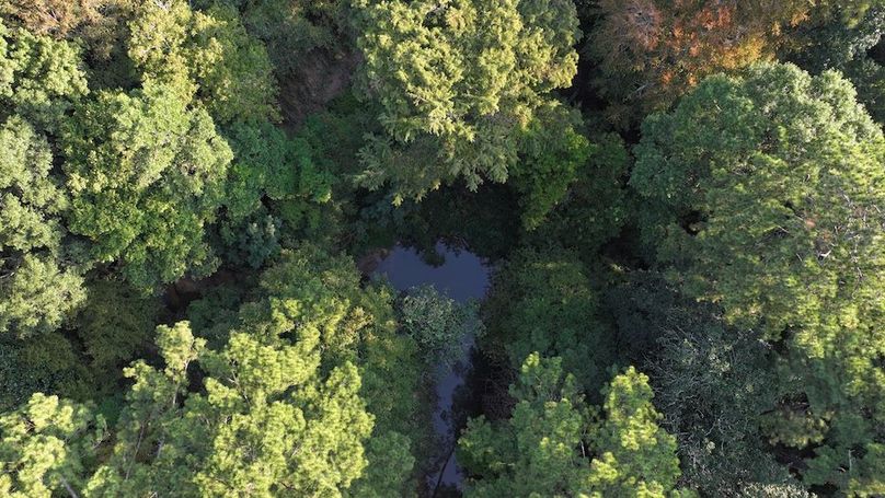 DJI_20250918082404_0148_D