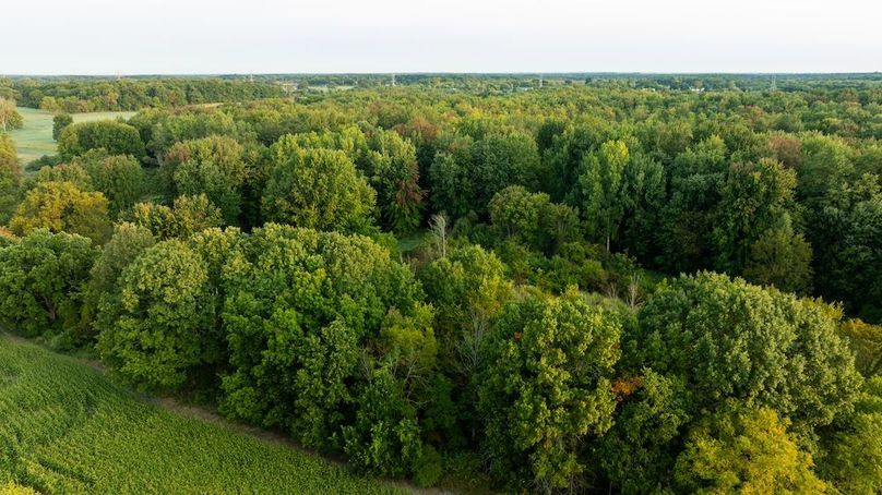 Lapeer MI 170 Featured_Pro Photo-92