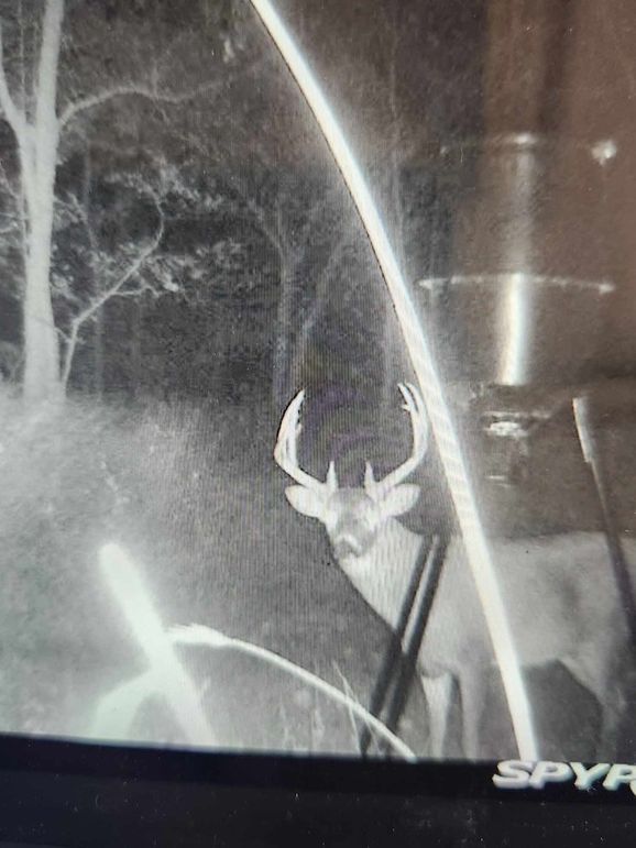 received_462548292869914