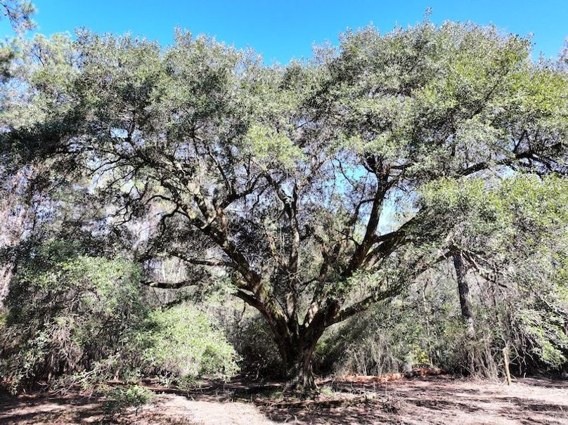 dji_fly_20251209_122008_0763_1765308499177_photo