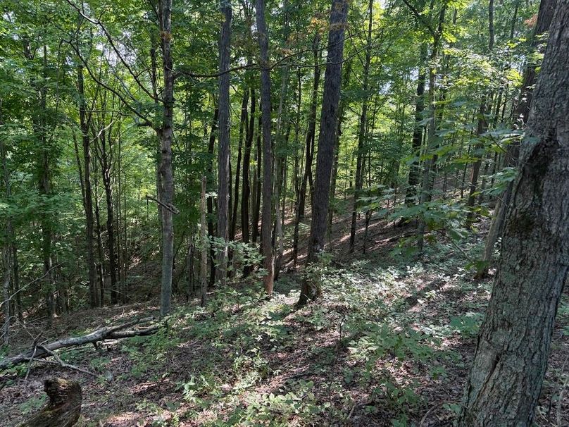 Adair 24.27 Hartsog 13 