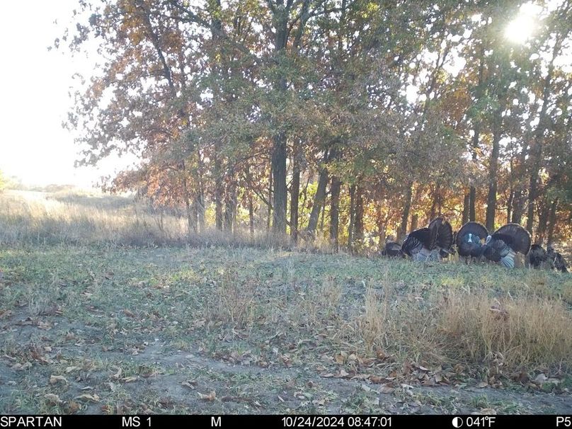 File Oct 26 2024, 2 51 43 AM