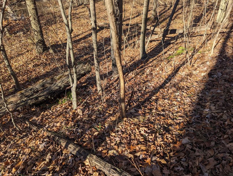 PXL_20231215_171514605