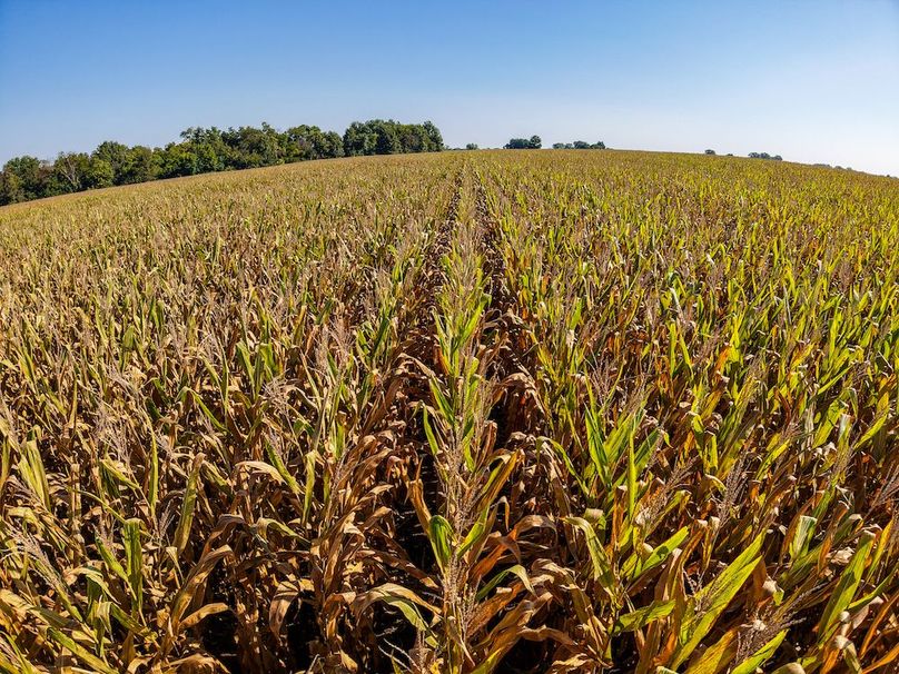 DJI_20250906095557_0048_D