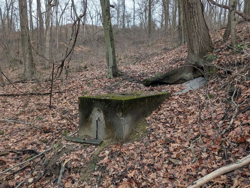 PXL_20260107_164856701