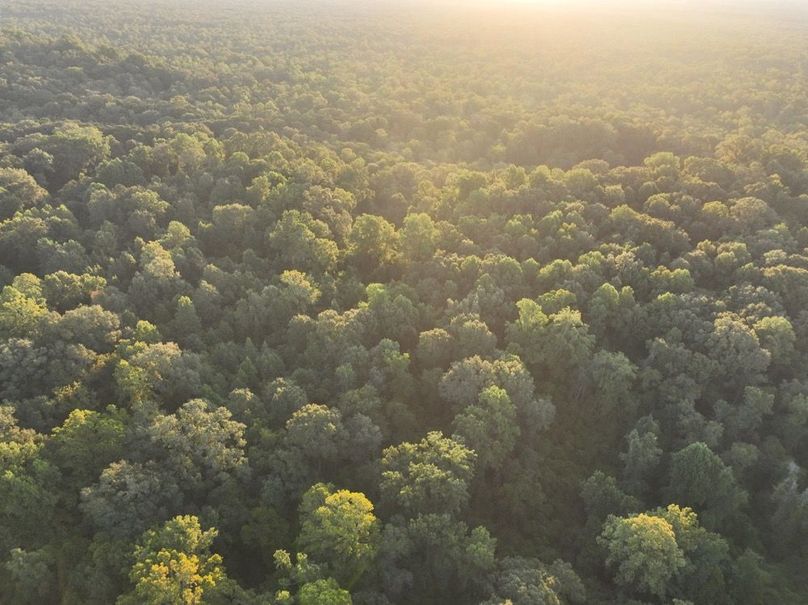 dji_fly_20250909_072428_182_1757426952932_photo