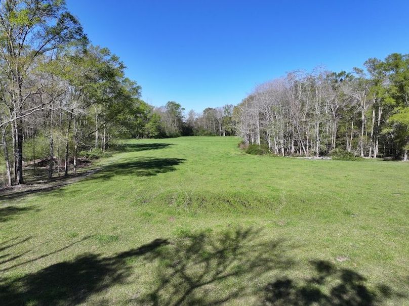 dji_fly_20260317_091112_0394_1773768880239_photo