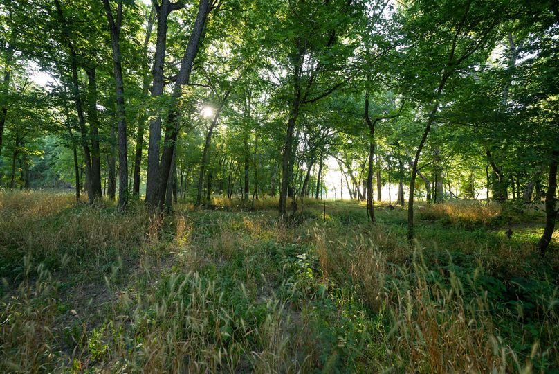 Webster MO 106 Featured_Pro Photo-68