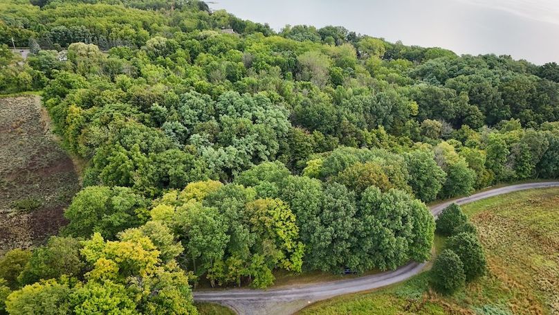 Seneca_65_Engels Photo 63