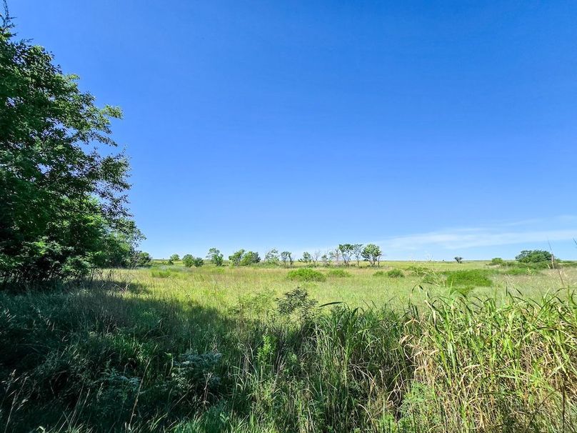 Copy of 20250729_111646