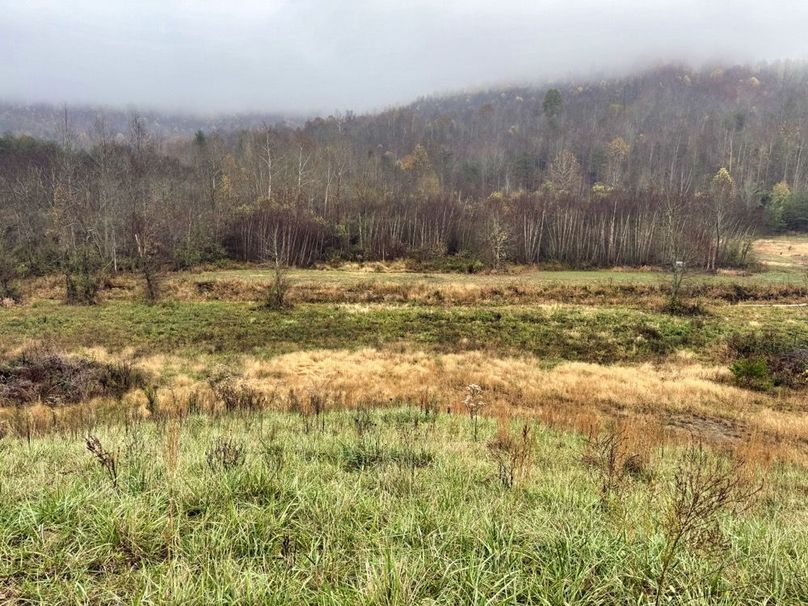 007 elevated view looking into the bottoms-2