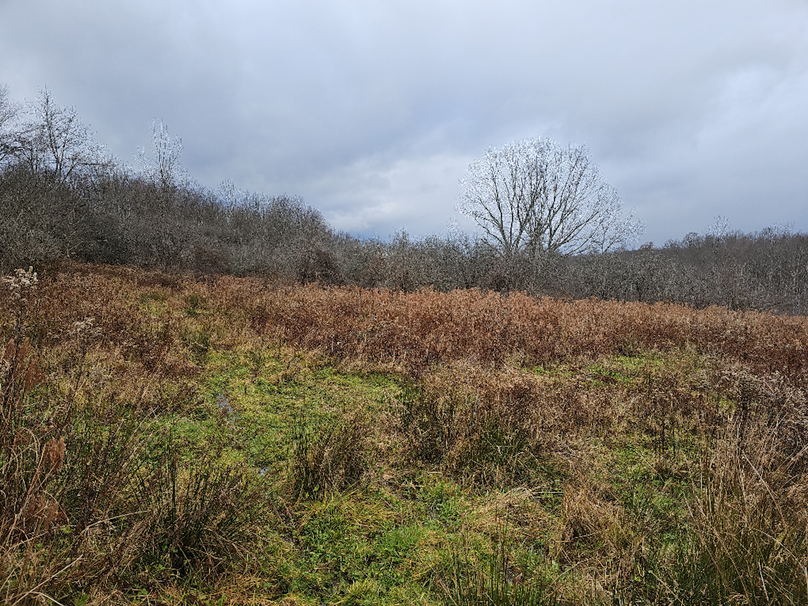 photo_8e360ae5-b48f-490d-88b9-07f5d24e2f1d