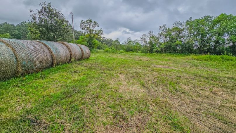 Copy of 20240905_130637