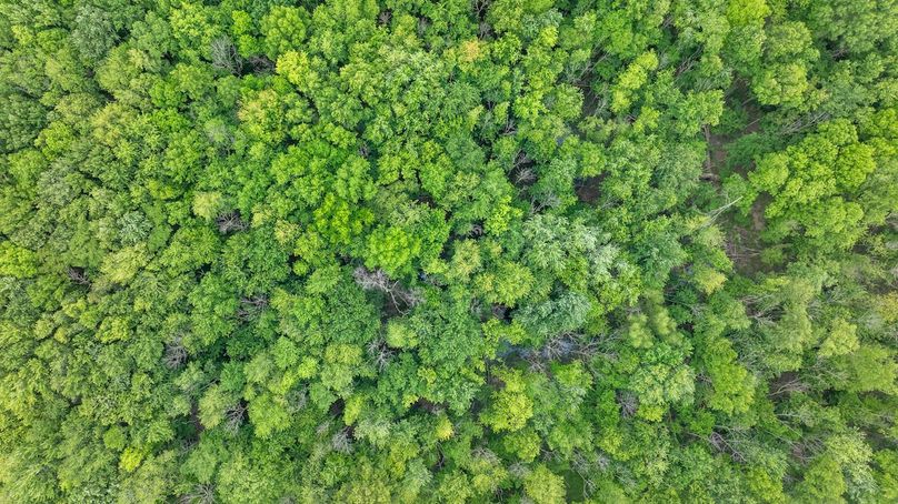 DJI_20250515174218_0033_D