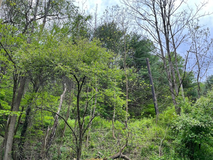 Tioga_18.72_Coulson Photo 49