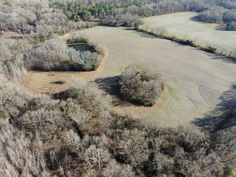 Aerial Woods and Field