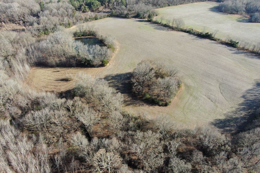 Aerial Woods and Field