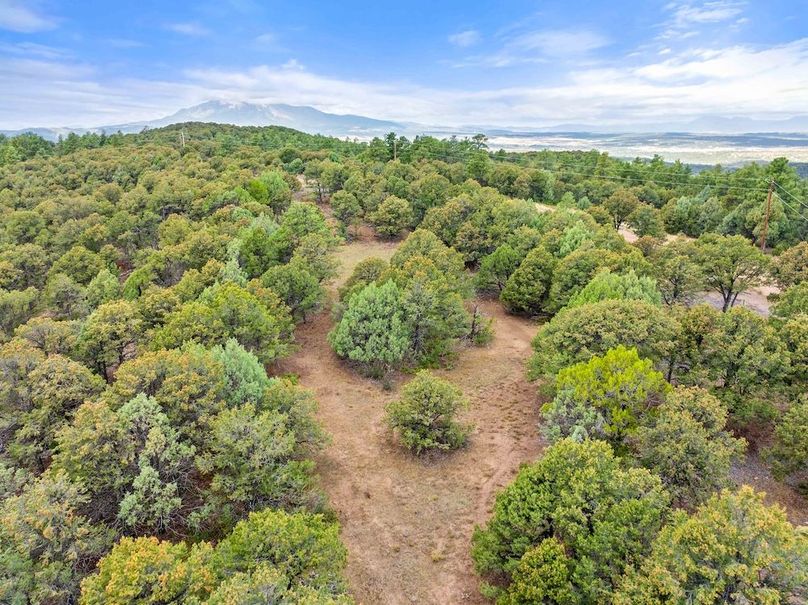 DJI_20250924110237_0124_D