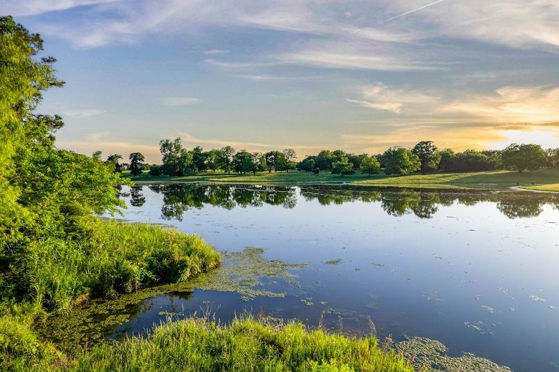Fannin County- 134.4 acres-40