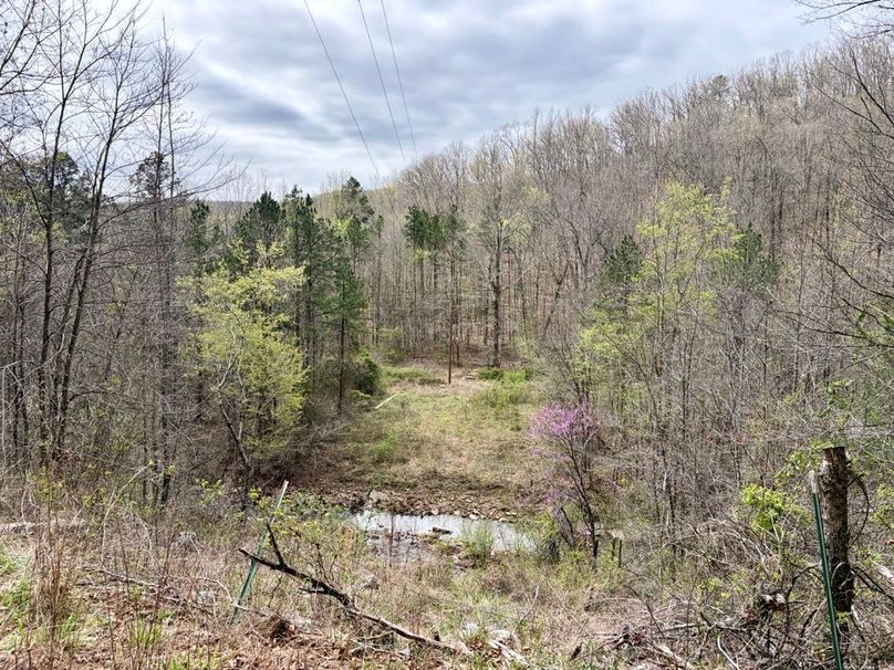 C0F30D8D-EC62-4BD2-9A33-04F0602AF641_1_201_a