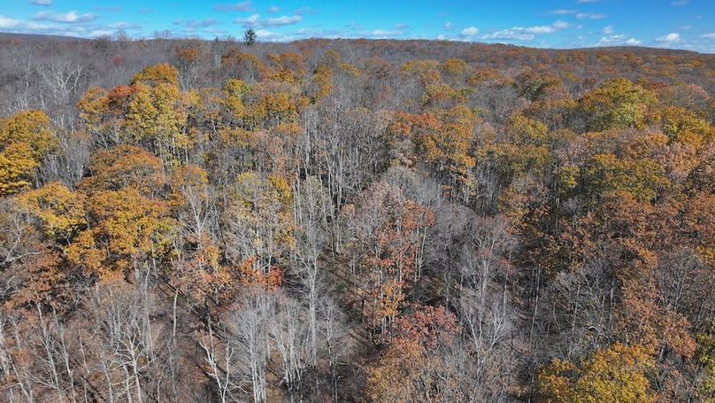 Somerset, 10.91, Tinkey-01