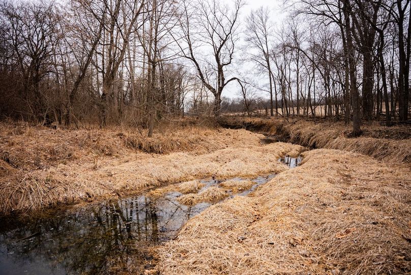 Pike IL 96.87 Adv Pro Photo-37