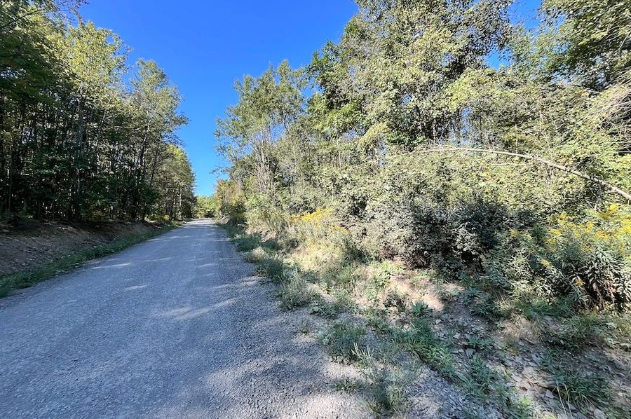 Chemung_10.725_Rouseland_Lot6_Photos_3