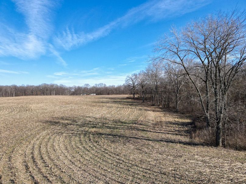 vandalia 450 (2)-2243