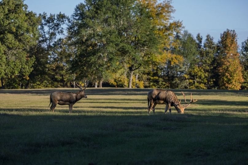 67 harrison 417ac pics-055