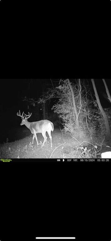 Screenshot 2026-01-09 at 12.40.13 PM