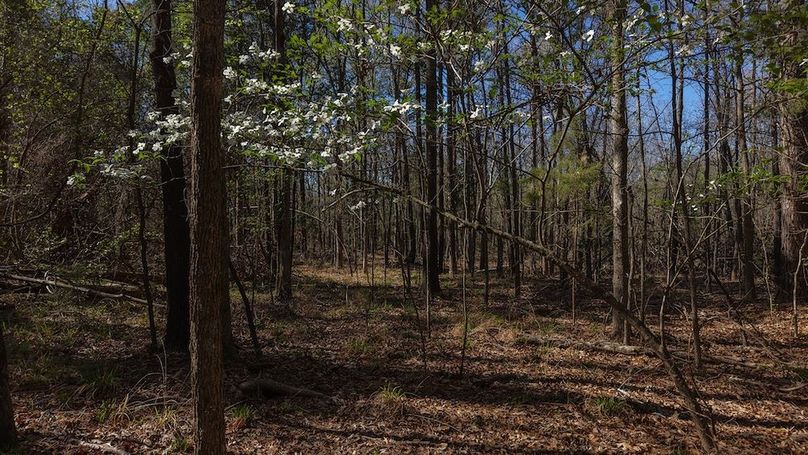 DJI_20260311013439_0050_D