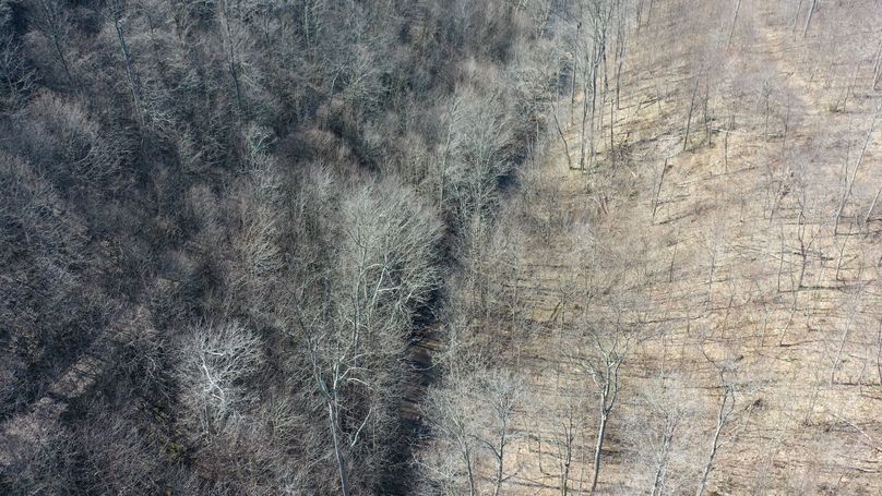 DJI_0629