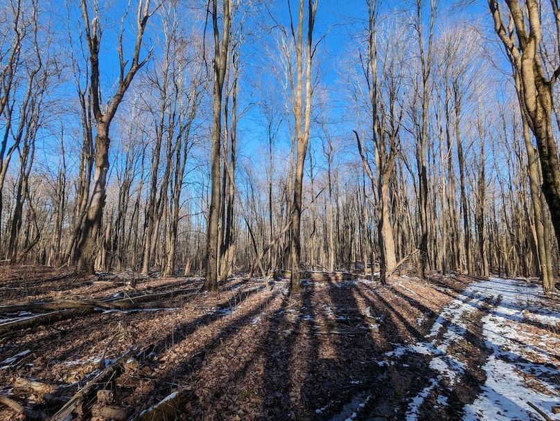 PXL_20240229_211117558