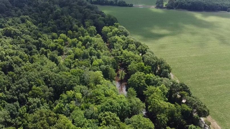 2024-06-01-10-30-32-939