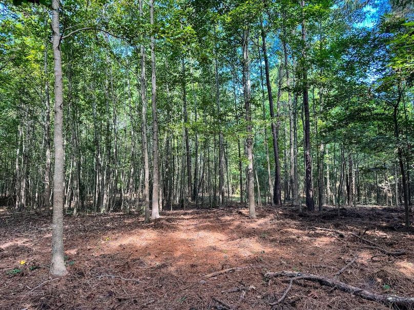 41 Jefferson 117ac - bethard-36