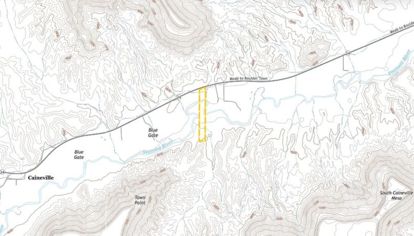 Map View