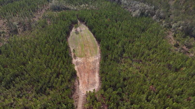 DJI_20231214123041_0004_D