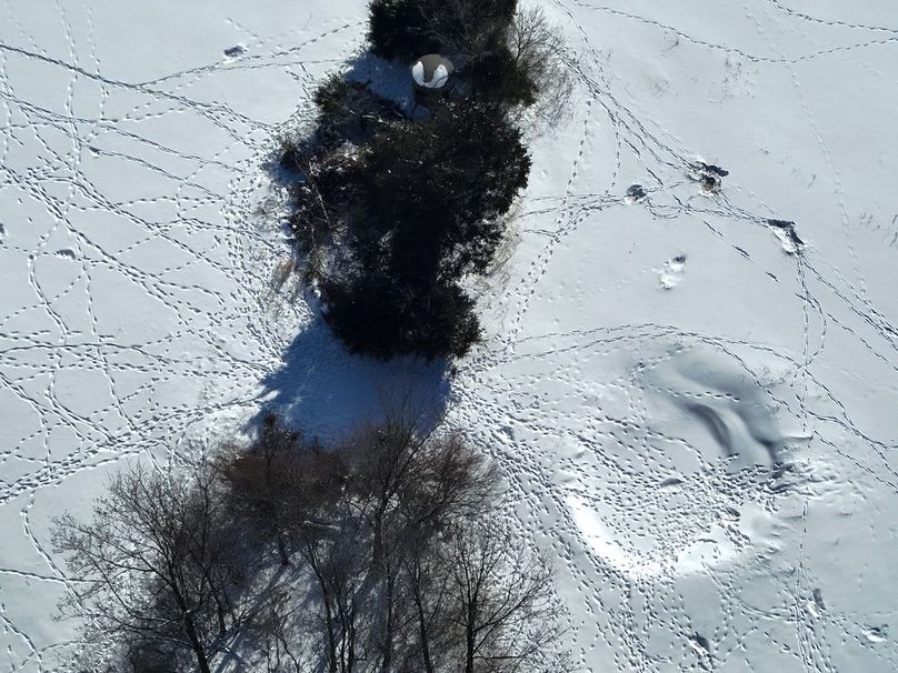 DJI_20260207115103_0007_Z