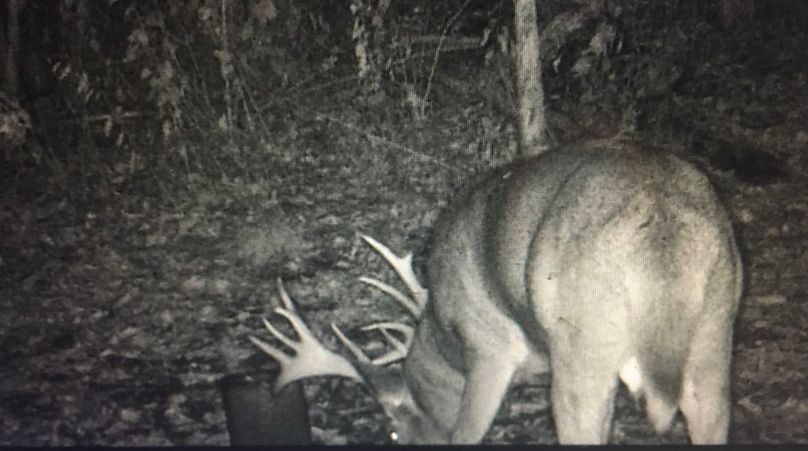 FullSizeRender(1) copy