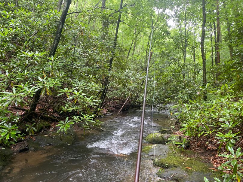 Cherokee 97.28+_- Stiles-04